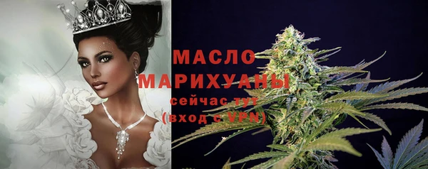 тгк Абаза